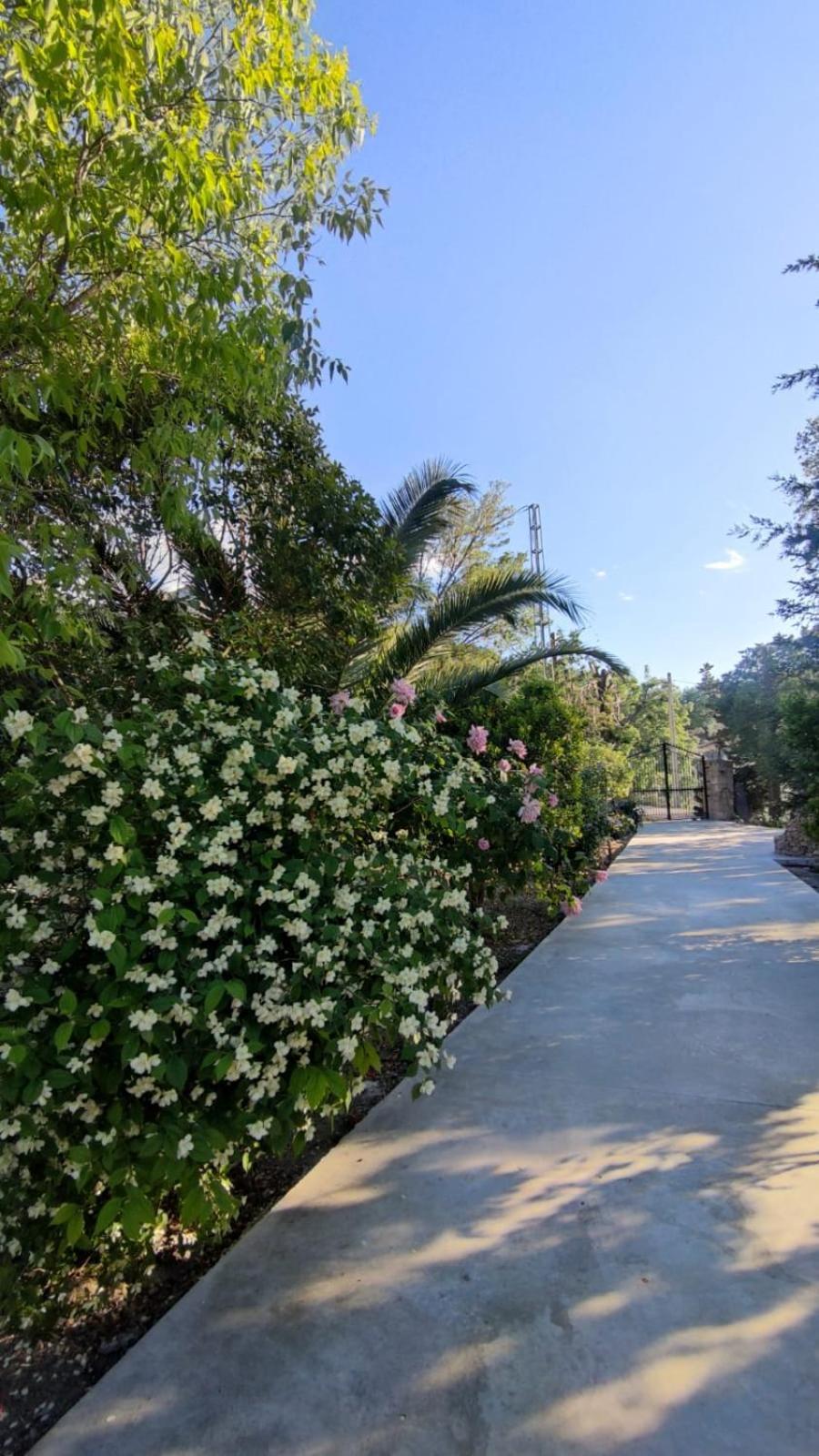 Villa Rosario La Iruela Exterior photo